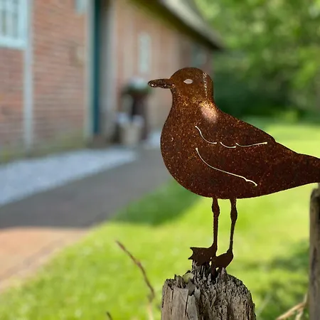 Reetdachhaus Fuer Erholsamen Familienurlaub Nyaraló Norderfriedrichskoog