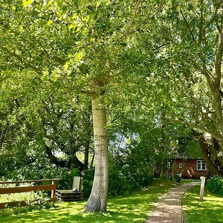 Reetdachhaus Fuer Erholsamen Familienurlaub *